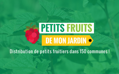 Distribution d’arbustes fruitiers – Ecolo Fontaine-l’Evêque